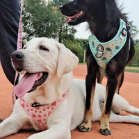 Dog Cat Harness and Leash Set - Avocado / S (Neck 10.6"-13"; Chest 14"-19.6") - image 4