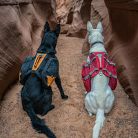 Kurgo Big Baxter Dog Backpack Harness - Baxter Pack / Black/Orange - image 3