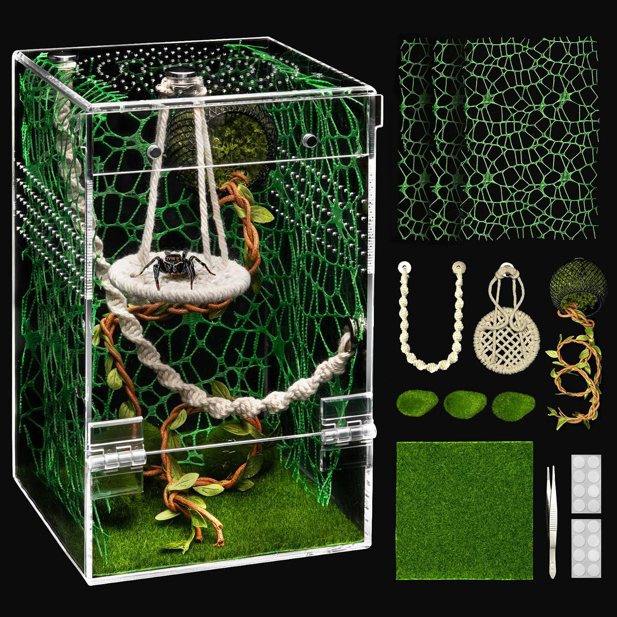 AZV Jumping Spider Enclosure Kit - Green / Large