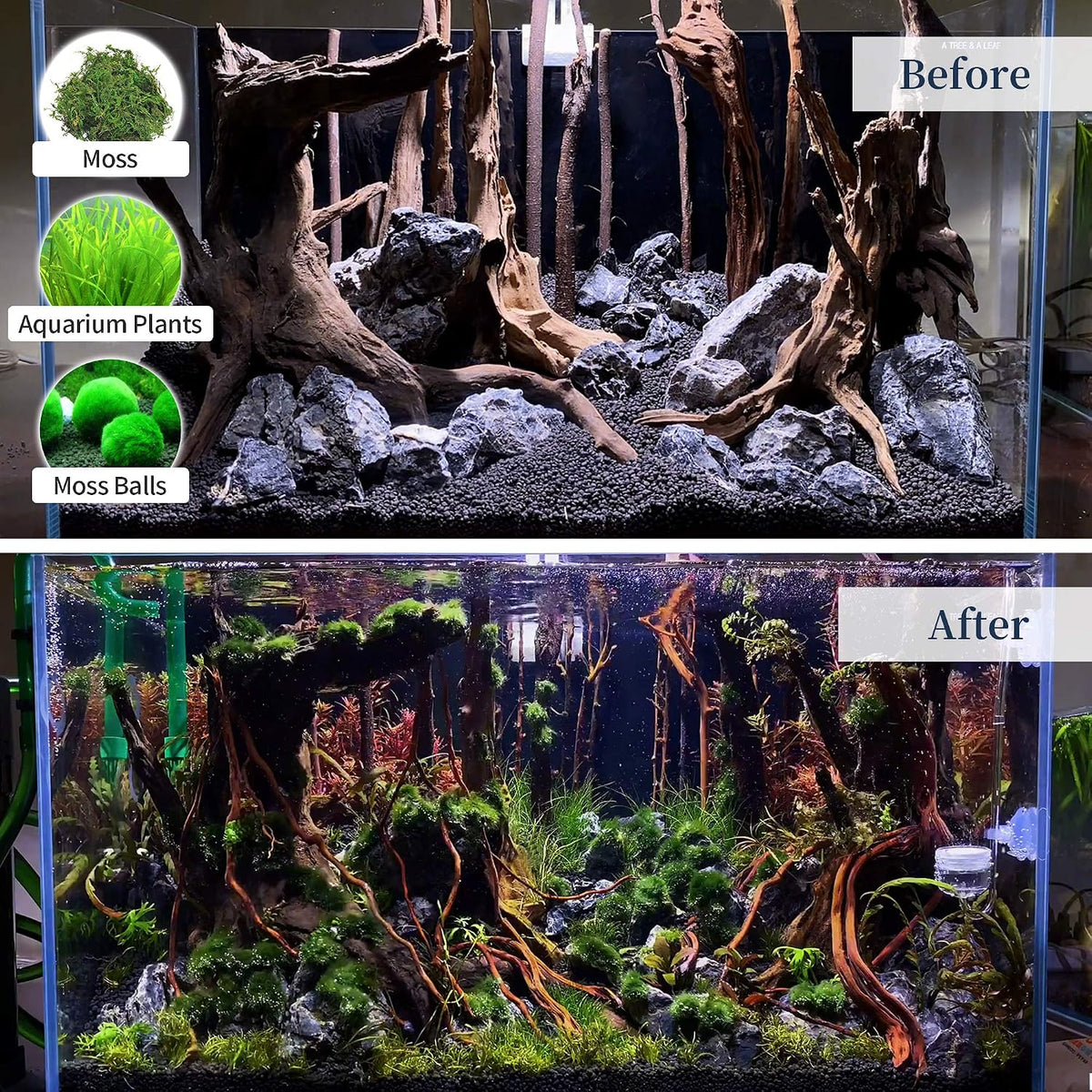 majoywoo Natural Driftwood for Aquarium Decor Fish Tank Decor Reptile - Mopani Driftwood 9 to 14 Inch (Pack of 2) - image 4