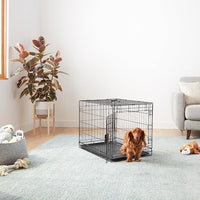 Amazon Basics Durable, Foldable Metal Wire Dog Crate with Tray, Single Door, 30 x 19 x 21 in, Black