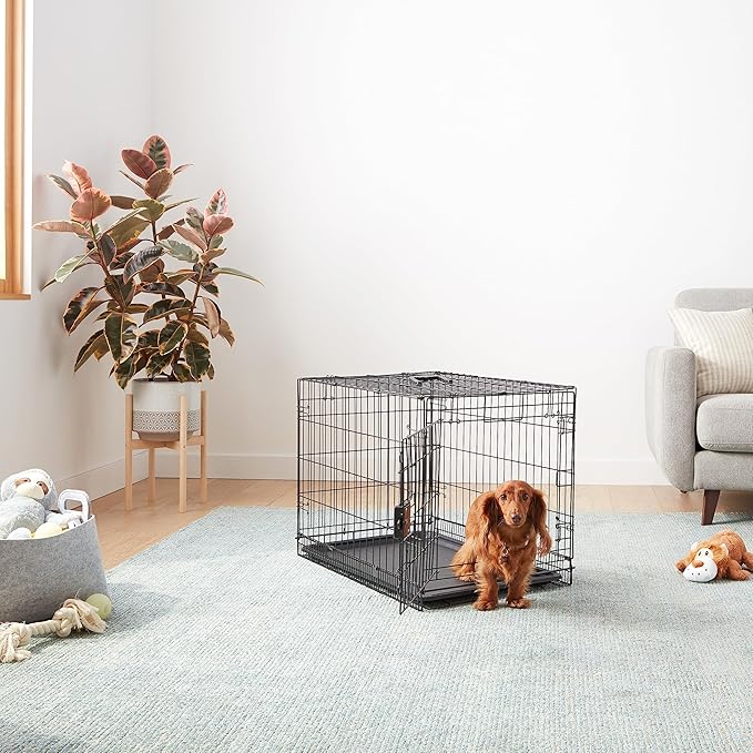Amazon Basics Durable, Foldable Metal Wire Dog Crate with Tray, Single Door, 30 x 19 x 21 in, Black