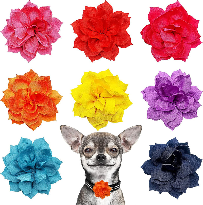 PET SHOW 6 Pack Halloween Small Dog Bows for Medium Dogs Puppies Cats - 8pcs 3.15" Plain Flower