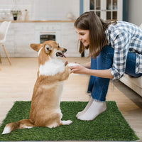 Dog Grass Pee Pads, 26''x 17'' - 51.2"x26" - image 4
