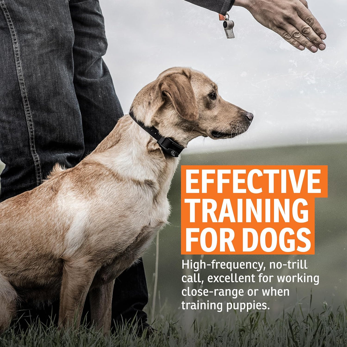 SportDOG Roy Gonia Special Whistle, Orange Without Pea - No Pea - image 3