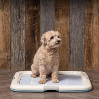 IRIS USA Pee Pad Holder - For Potty Training Regular Sized Dog & Puppy Pee Pads, Secured Latches, Non-Skid Feet, Leak Protection, Fits 22"x22" Pad or Larger, Square, Blue