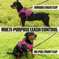 Dog Harness and Leash Set for Large Dogs - Rose Red / M - image 2