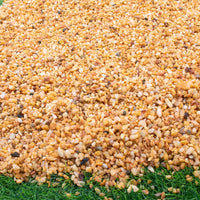 3lb Cactus Pea Gravel Rocks - 7LB / Mixed Colorful - image 3