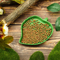 Boao 2 Pieces Leaf Reptile Food Water Bowl Plate Feeding Dish - image 2