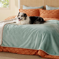 Bedsure Waterproof Dog Blankets for Small Dogs Soft Cat Blanket Warm - Twin(60x80") / Light Green