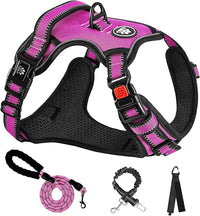 NESTROAD No Pull Dog Harness,Adjustable Oxford Dog Vest Harness with Leash,Reflective No-Choke Pet Harness with Easy Control Soft Handle for Large Dogs(Large,Fuchsia Pink)