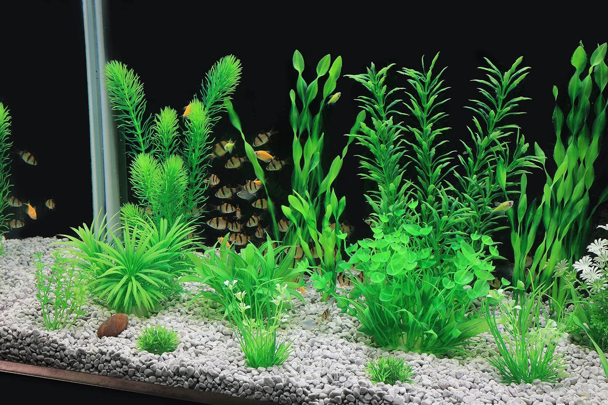 MyLifeUNIT Aquarium Plants - image 2