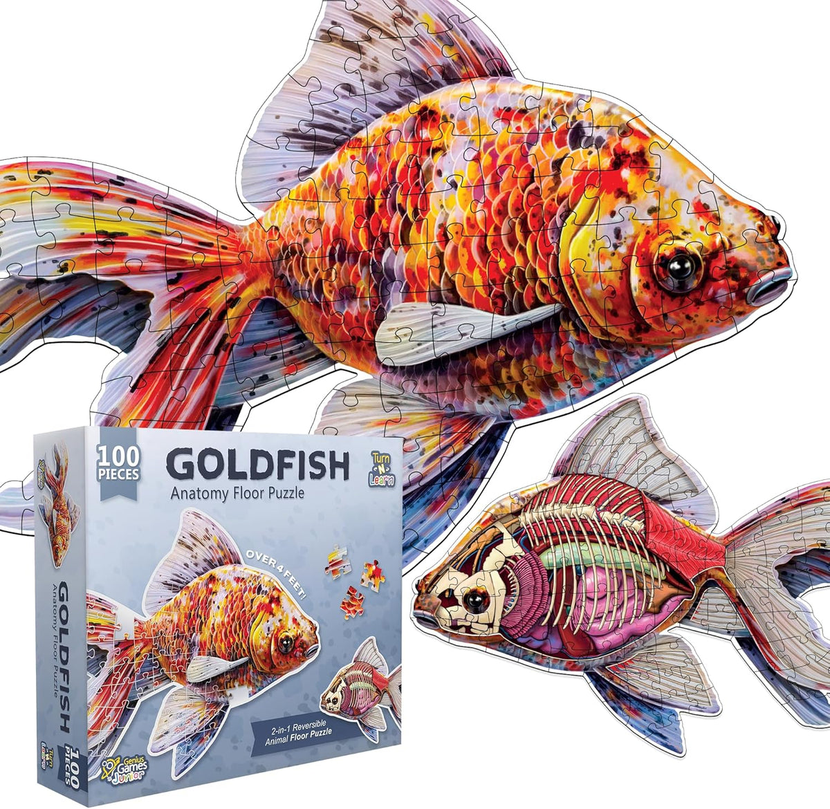 Genius Games shark anatomy floor puzzle showing a great white shark and its anatomy