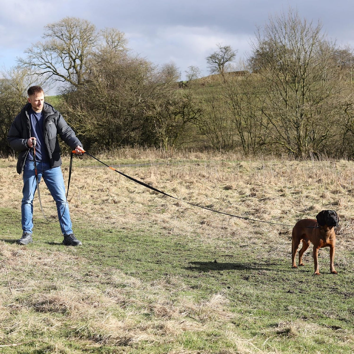 100ft Long Leash for Dogs - 50ft - image 2