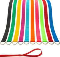 Slip Lead Dog Leash, 10 Pack Colorful 6 FT Pet Leashes with O-Ring – Essentials for Dogs - 10 pcs / 6 FT
