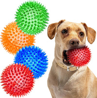 Squeaky Balls for Pet Small Puppy - Medium Set of 4 / Multi