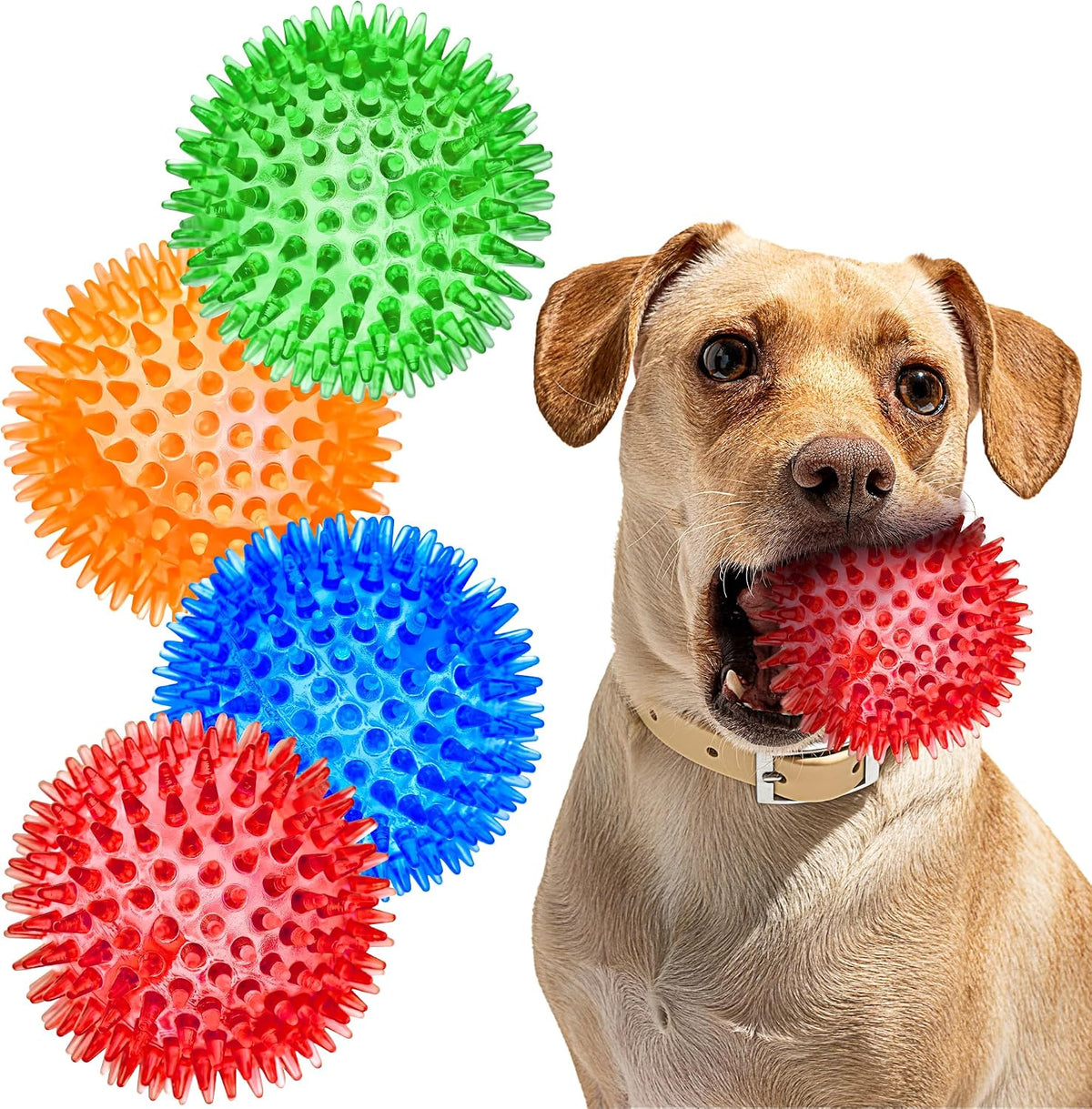 Squeaky Balls for Pet Small Puppy - Medium Set of 4 / Multi