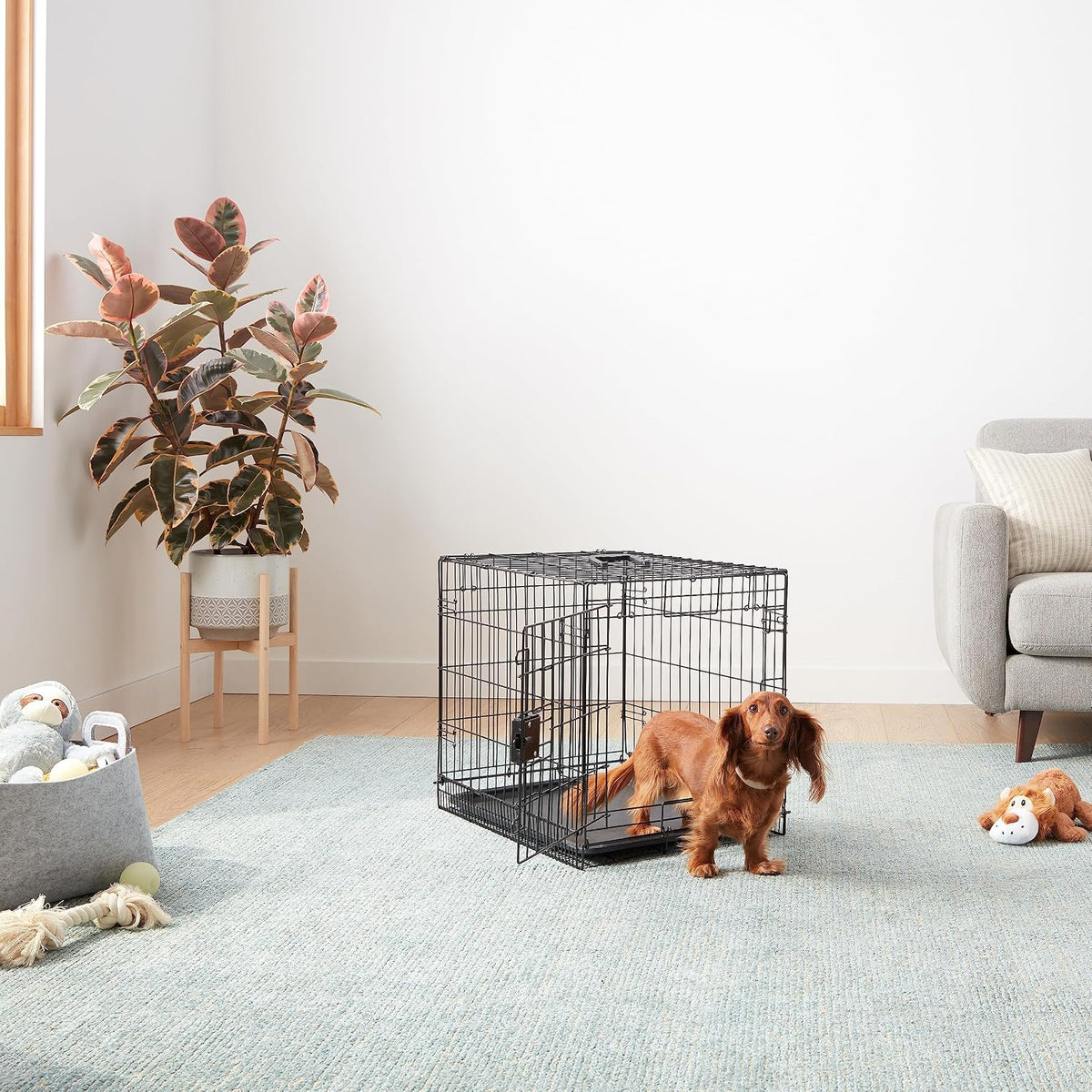 Amazon Basics Portable, Foldable Metal Wire Small Dog Crate with Removable Tray, Divider Panel - 24 x 18 x 20 in / Single Door w/ Divider - image 4