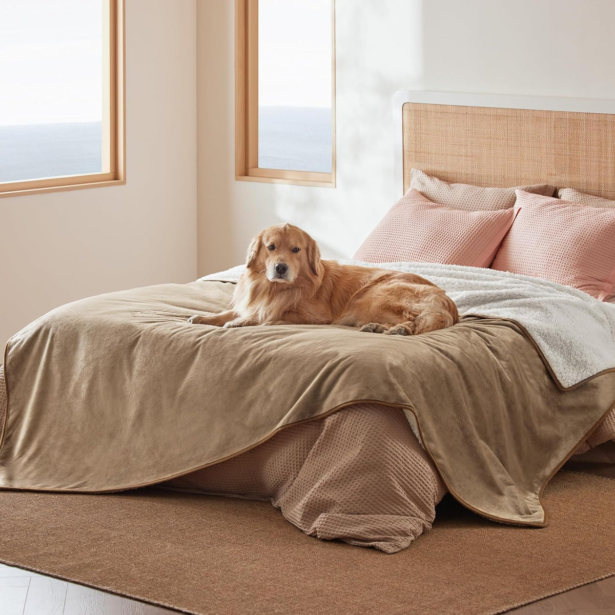 Bedsure Waterproof Dog Blankets for Small Dogs Soft Cat Blanket Warm - Queen(86x90") / Camel