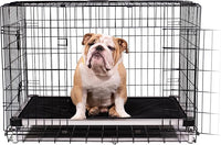 K9 Ballistics Chew Proof Armored Padded Dog Crate Bed, Virtually Indestructible, Legs Included (Sandstone, X-Large (47" L x 29" W x 6" H))