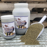 Organic Kelp for Chickens & Duck Feed (5 Pound): Chicken Vitamins | Chicken Supplements | Vitamins for Chickens | Pampered Chicken Mama