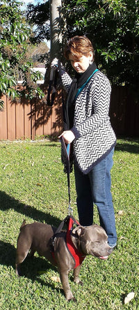 Dog Leash 6ft Long, Traffic Padded Two Handle, Heavy Duty - 6FT / Black-Blue - image 3