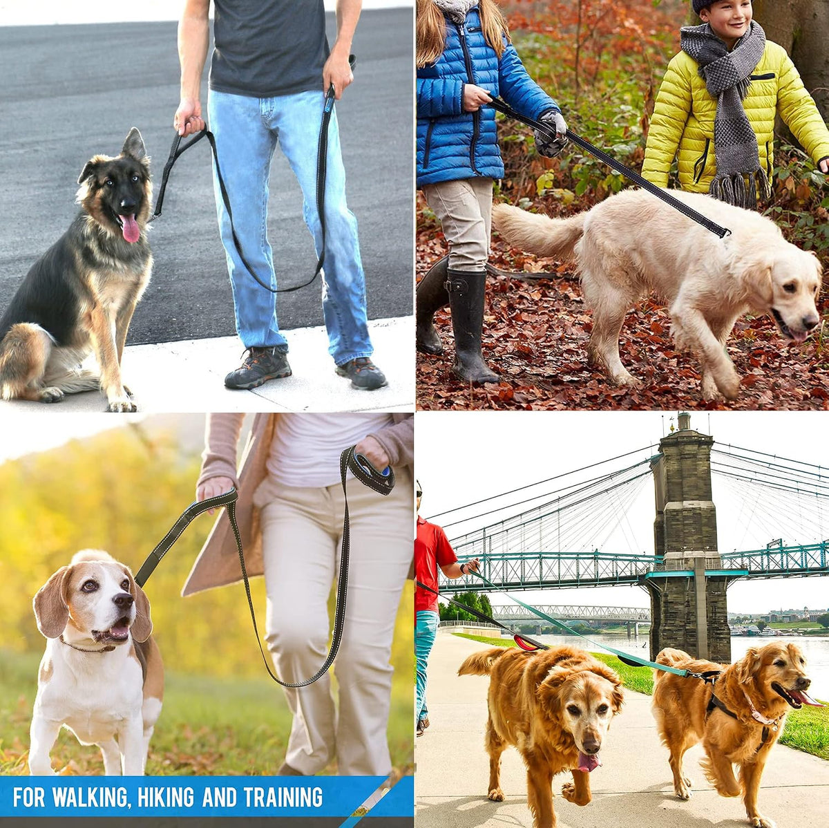Heavy Duty Dog Leash - 2 Handles by Padded Traffic Handle for Extra Control, 6foot Long - Perfect - 6 ft / Bright Green - image 3