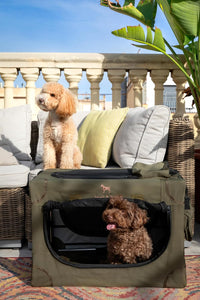 Noah & Paw XXL Collapsible Dog Crate, 42" - Green / 24.0"L x 17.0"W x 17.0"H - image 2