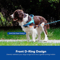 Didog No Pull Dog Harness for Large Dogs, Breathable Mesh Padded - Blue / M: Chest 21-27", Fit 28-50 lbs - image 3