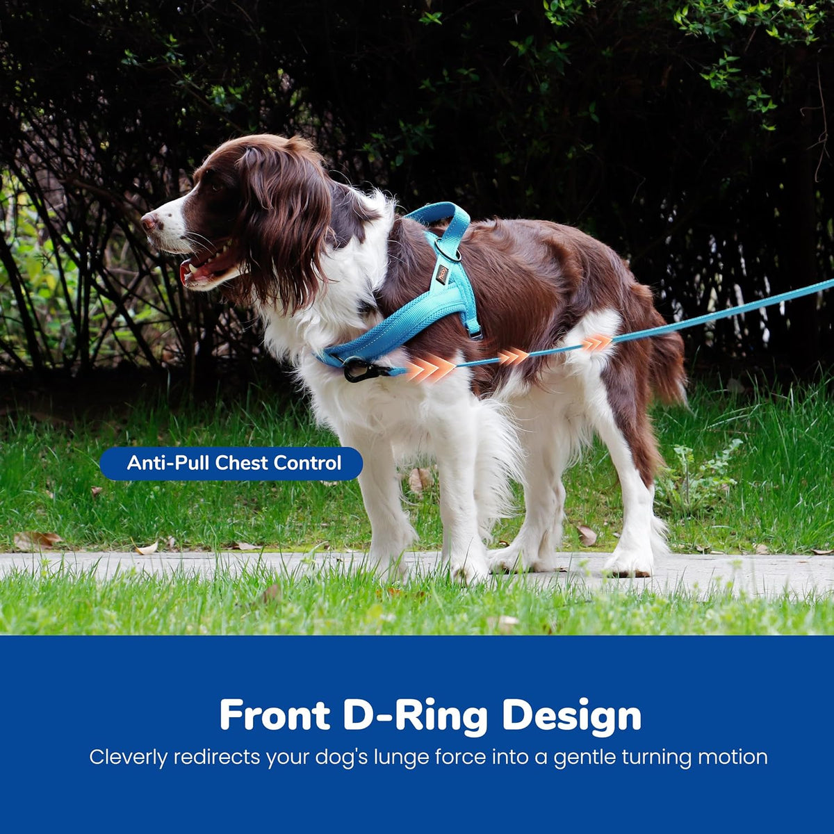 Didog No Pull Dog Harness for Large Dogs, Breathable Mesh Padded - Blue / M: Chest 21-27", Fit 28-50 lbs - image 3