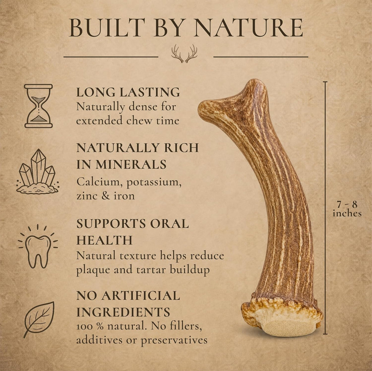 WhiteTail Naturals 12 Pack Whole Deer Antlers for Petite Dogs Up - X-Large (Pack of 1) - image 2