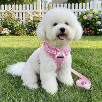 SuperBuddy Upgraded Soft Mesh Dog Harness - S (Neck Girth 11"; Chest Girth: 12"-16") / Adorable Pink-2 - image 3