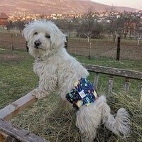 CuteBone Dog Diapers Male Washable Belly Band for Male Dogs Wraps 3pcs a Pack DM28M