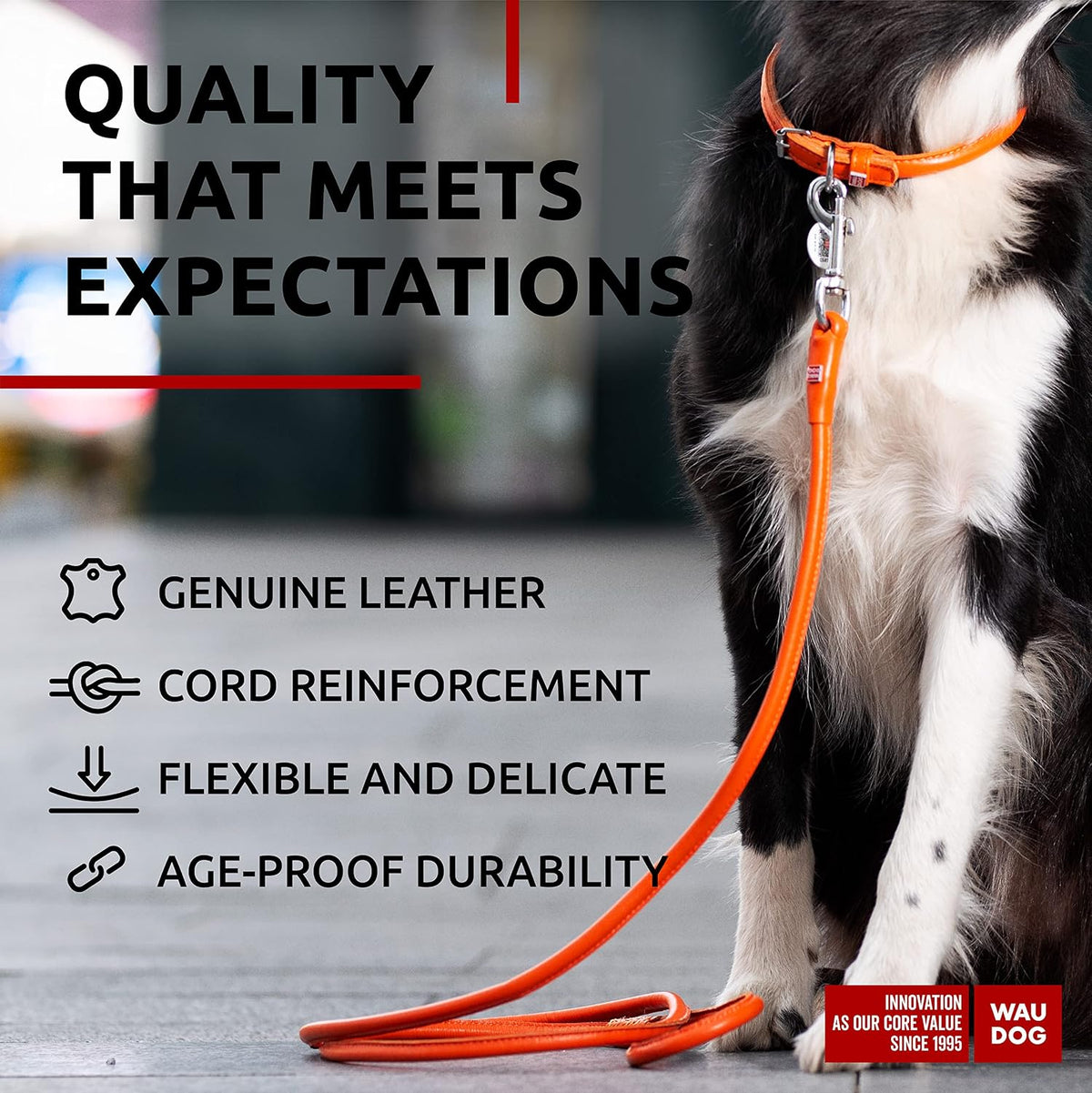 WAUDOG Rolled Leather Dog Leash 4Ft * 0.3 in for Small Medium - Orange / 4Ft * 0.4 in - image 3