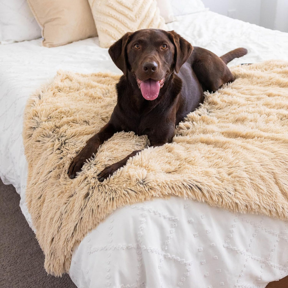 Best Friends by Sheri Dog Blanket, Shag Faux Fur - Taupe / 40" x 50" - image 2