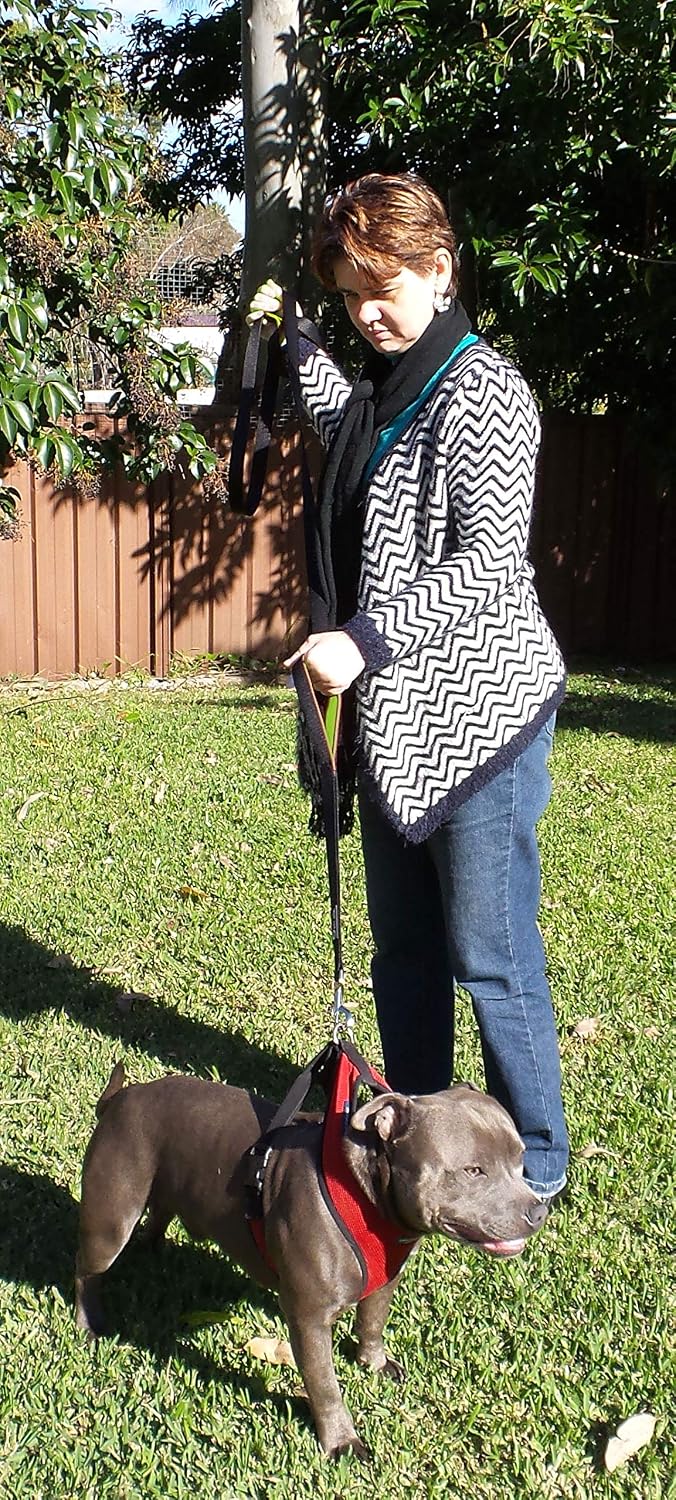 Dog Leash 6ft Long, Traffic Padded Two Handle, Heavy Duty - 6FT / Black-Green - image 3