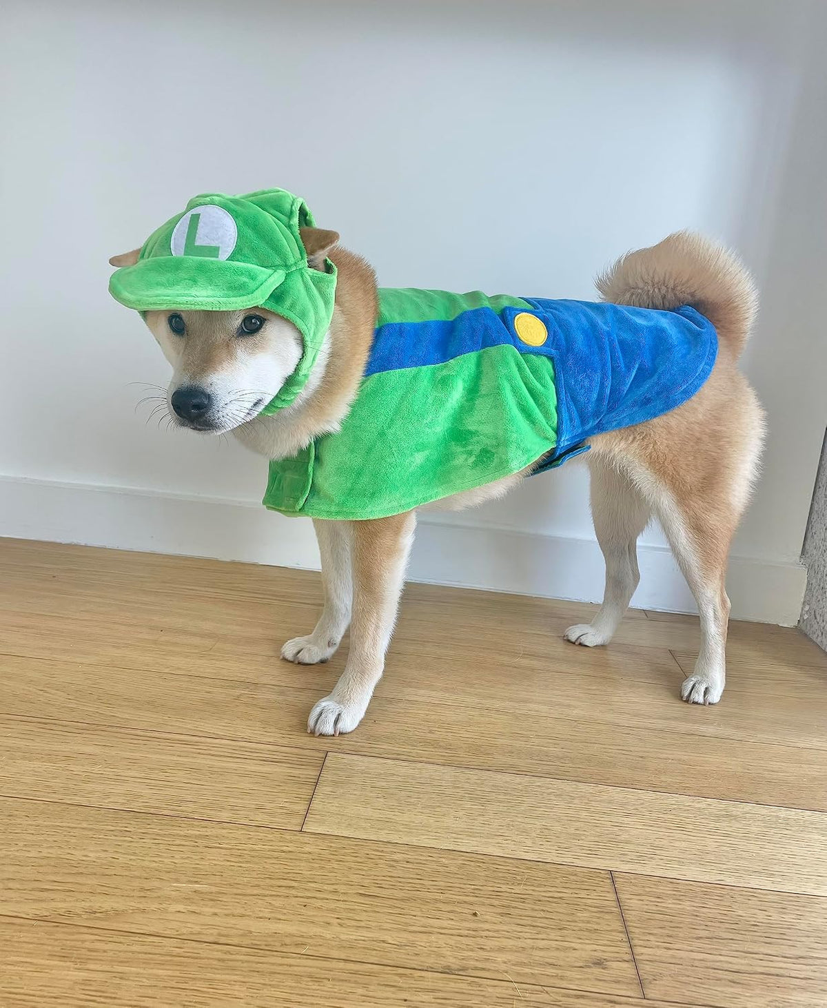 ComfyCamper Hat and Suspenders Dog Costume - Small / Green - image 2