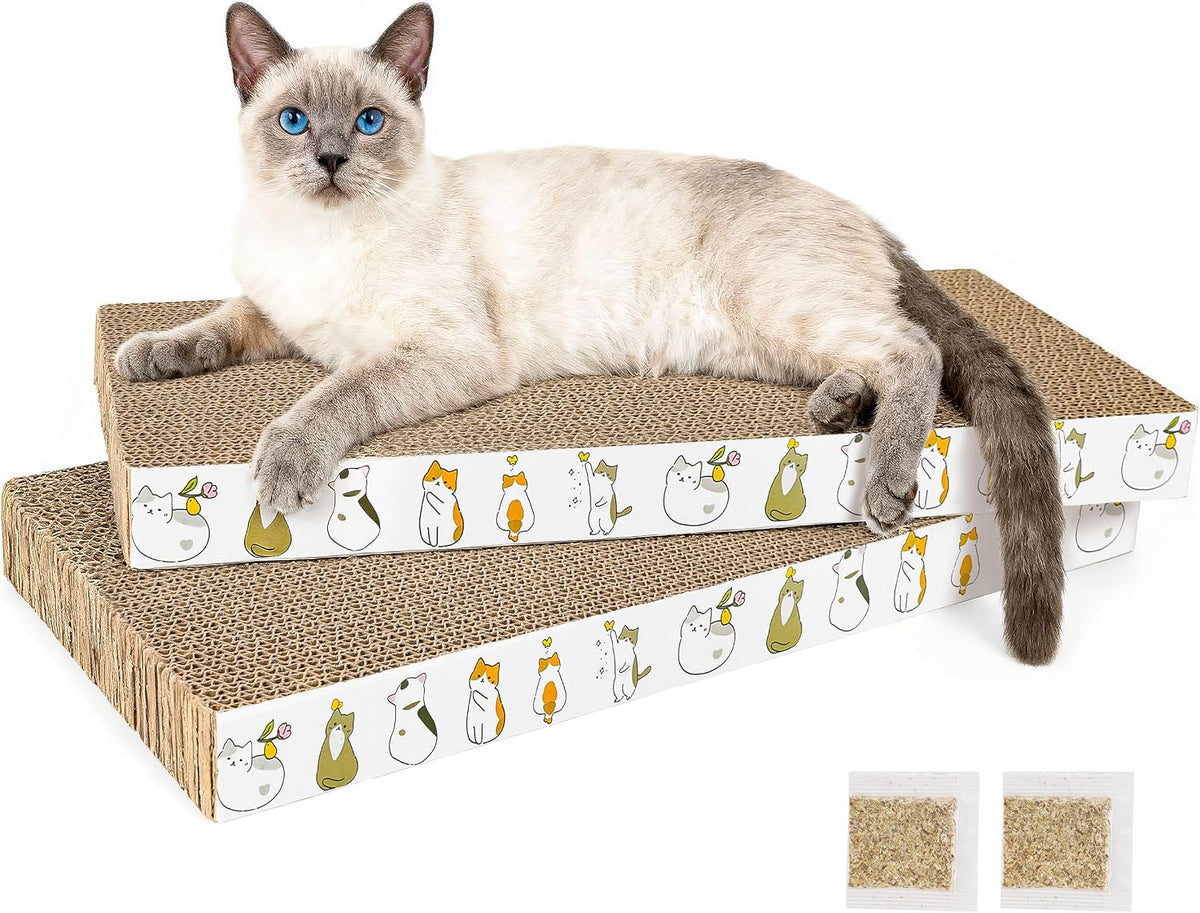 PatiencET Cat Scratch Pad with Box - Flat - 2 Pack