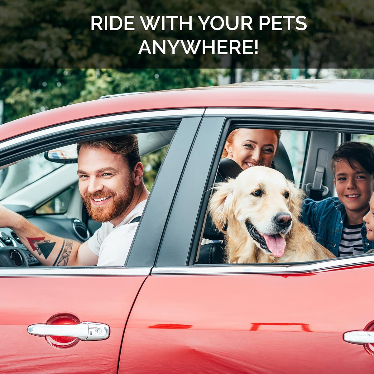 Dog Seat Belt Pet Dog Cat Car Seatbelt Safety Tether - image 4