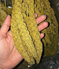 Birds LOVE Economy & Thin Special Spray Millet GMO-Free (No Stems Only Edible Tops) for Birds Cockatiel Lovebird Parakeet Finch Canary All Parrots Healthy Treat - 25lbs