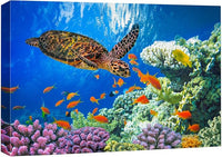 wall26 Canvas Print Wall Art Vibrant Neon Underwater Turtle, Reef & Fish Nature Animals Photography Realism Rustic Scenic Landscape Wilderness Colorful for Living Room, Bedroom, Office - 32"x48"
