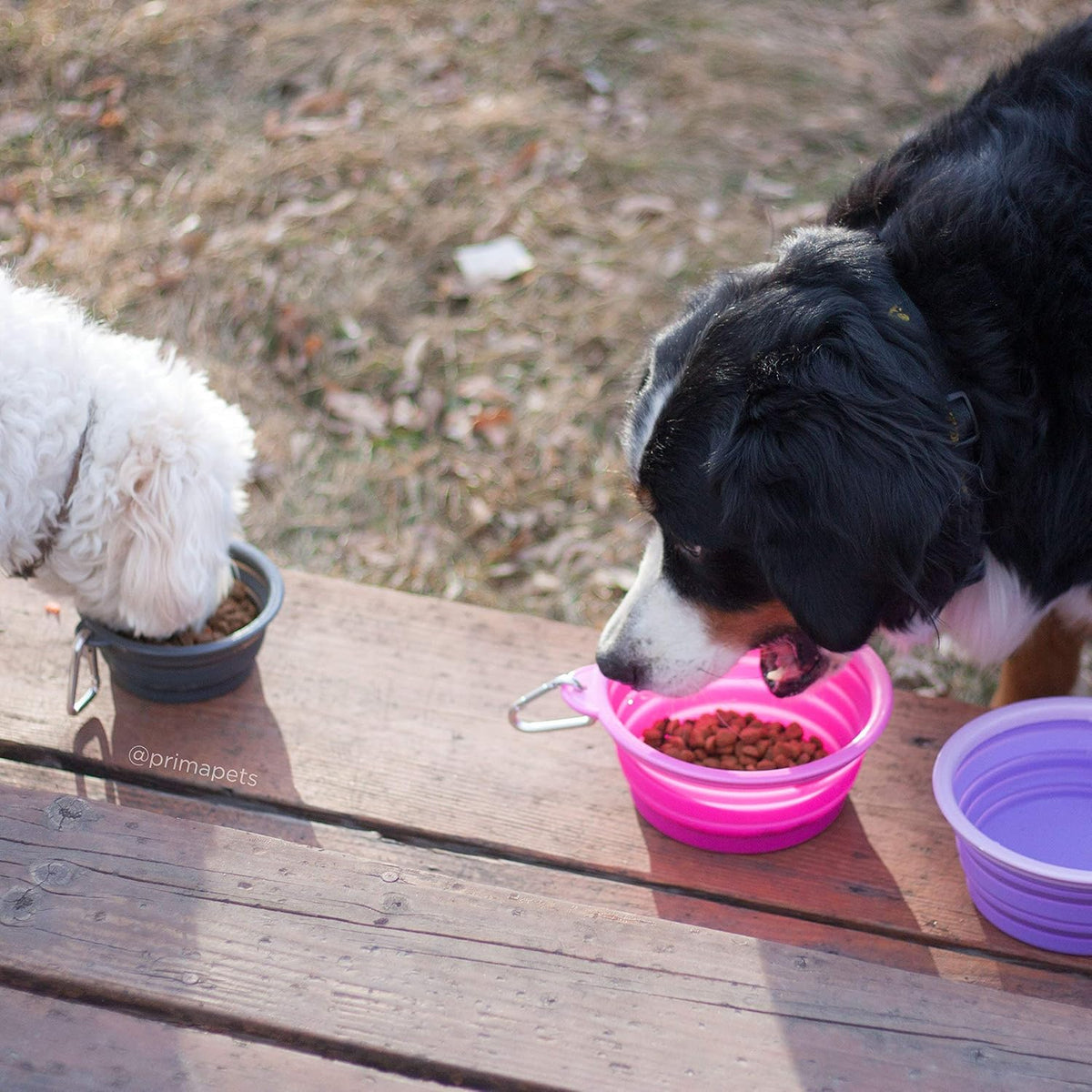 Prima Pet Expandable/ Collapsible Silicone Food & Water Travel Bowl - Pink / LARGE (5 CUPS) - image 3