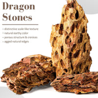 6.1-8.1 Inches Natural Dragon Stone, Terrariums - 10.0-12.0 in - image 2