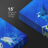 wall26 Canvas Print Wall Art Vibrant Sunlight Ray Ocean Shark Fish Reef Nature Animals Photography Realism Rustic Scenic Landscape Wilderness Earth for Living Room, Bedroom, Office - 12"x18"