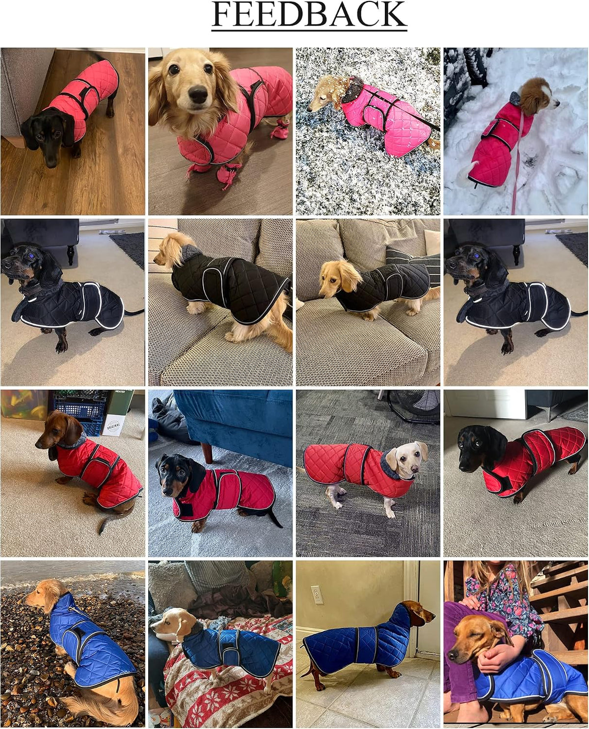 Quilted waterproof windproof dachshund coat with fleece lining and reflective piping - view 2