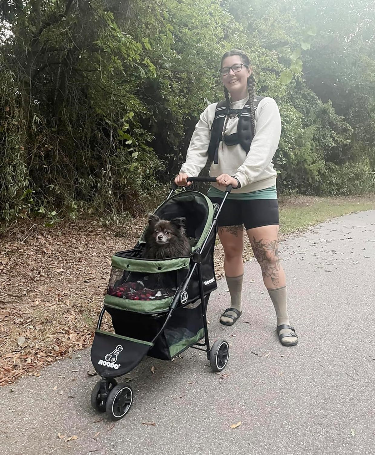 ROODO 3 Wheel Dog Pet Cat Stroller Best Lightweight Foldable Compact - Cationic Green - image 2