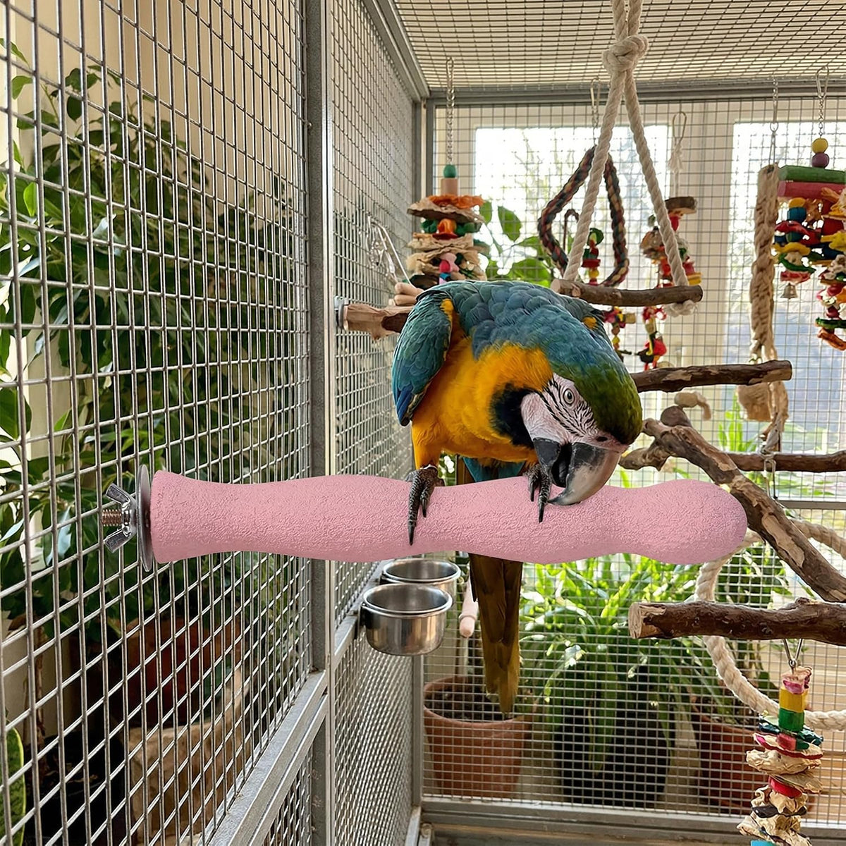 Natural Wood Bird Perch with Beak Grinding Bar - image 2