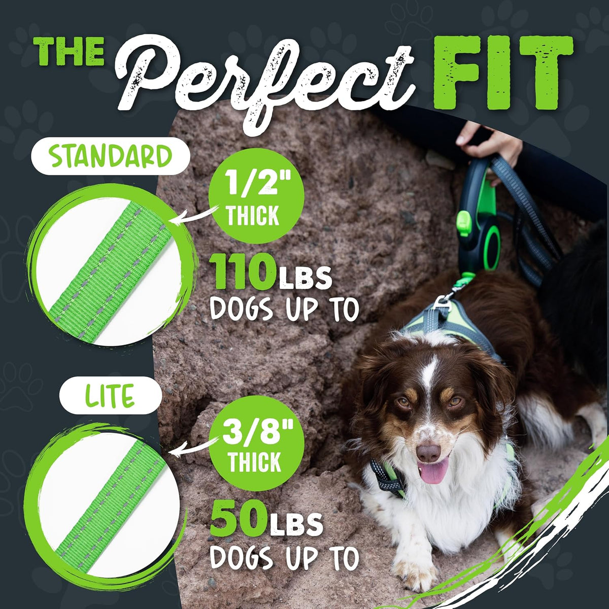 Mighty Paw Retractable Dog Leash, for Large Dogs, Auto-Locking - Original Green / 0 - 50 lbs - image 2