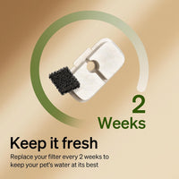 PETLIBRO Cat Water Fountain - White / 4 Filters - image 3