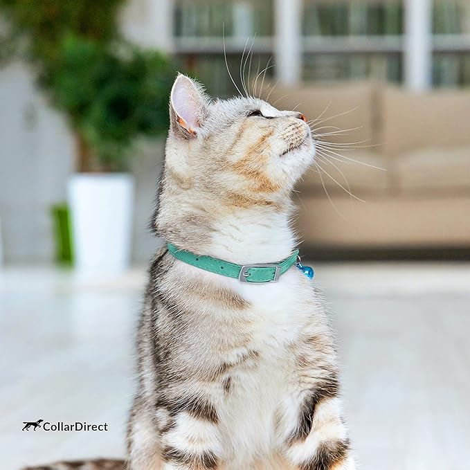 CollarDirect Leather Cat Collar, Cat Safety Collar with Elastic Strap, Kitten Collar for Cat with Bell Black Blue Red Orange Lime Green (Neck Fit 6"-7", Mint Green)